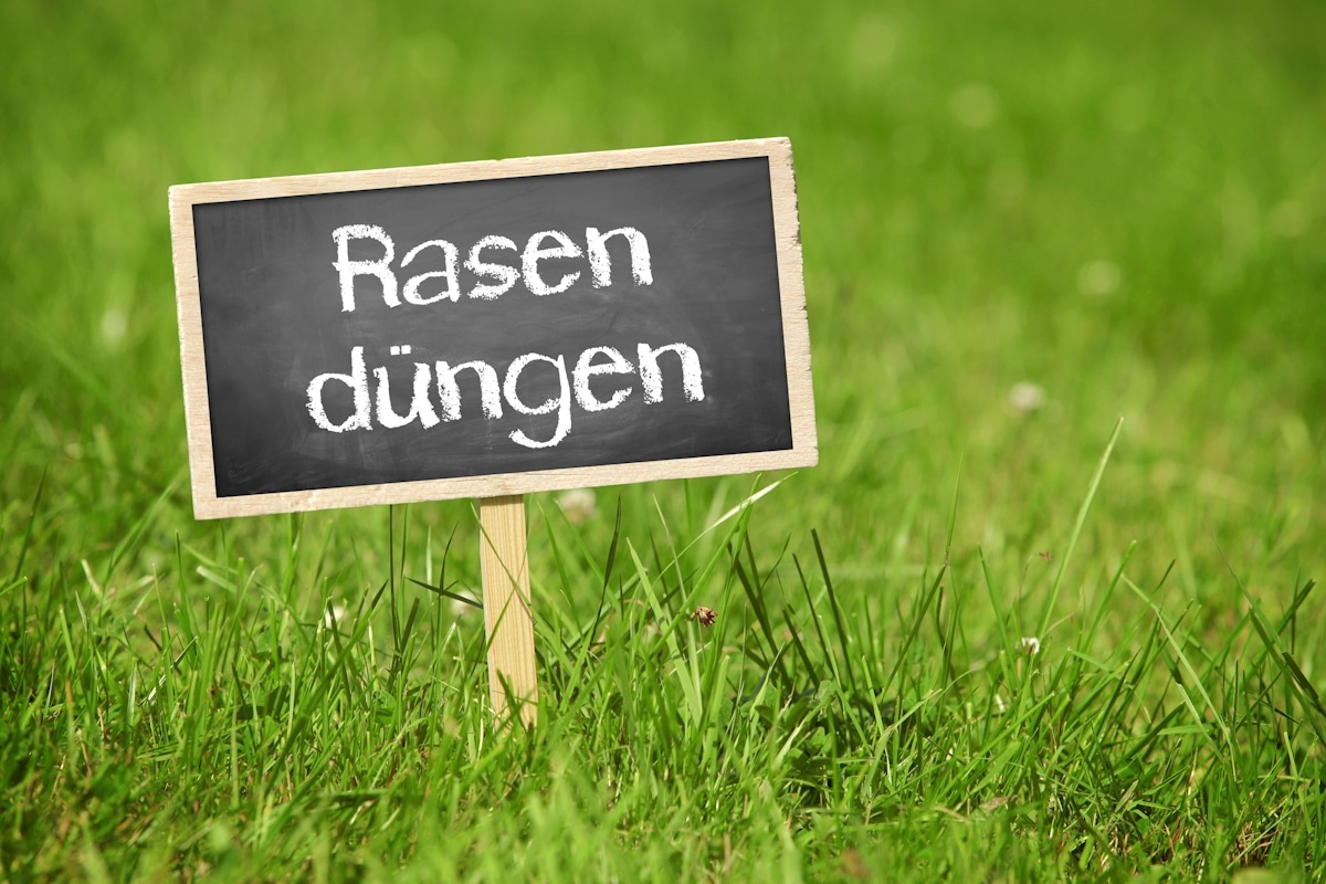 Rasen düngen im Sommer